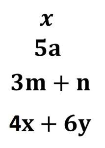 EXPRESION ALGEBRAICA