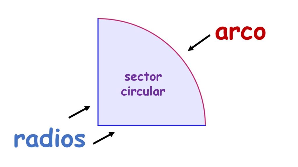 sector circular